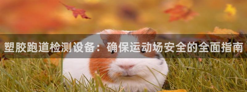 尊龙中国：塑胶跑道检测设备：确保运动场安全的全面指南