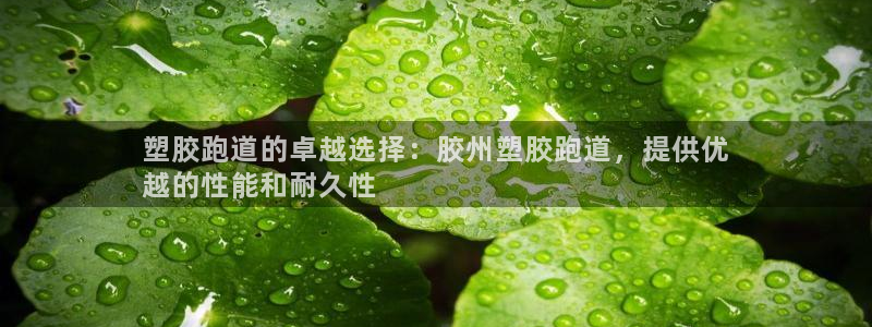尊龙凯时城游戏官网：塑胶跑道的卓越选择：胶州塑胶跑道