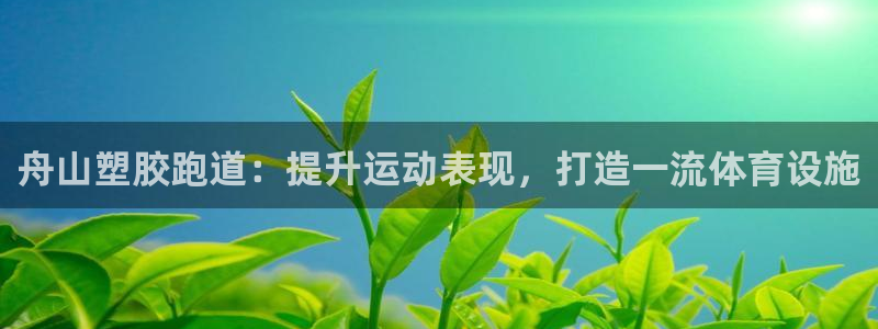 凯时k8娱乐唯一官网：舟山塑胶跑道：提升运动表现，打