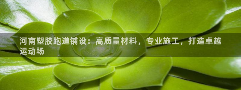 尊龙凯时人生就是搏包装优势：河南塑胶跑道铺设：高质量材料，专业施工，打造卓越
运动场