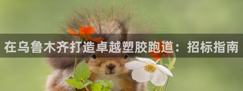 尊龙ag旗舰厅官网登录：在乌鲁木齐打造卓越塑胶跑道：招标指南
