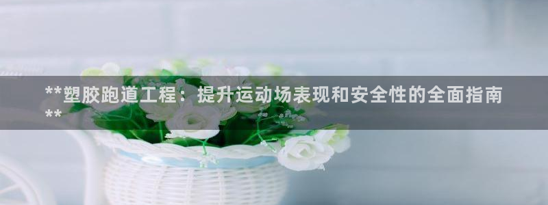 尊龙凯时人生就是搏技术实力：**塑胶跑道工程：提升运动场表现和安全性的全面指南
**
