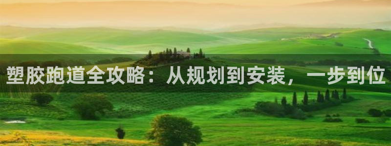 尊龙手机官方客户端下载安装：塑胶跑道全攻略：从规划到