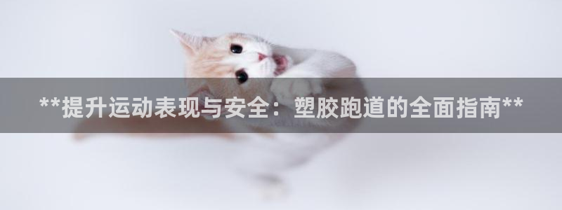 凯时官网：**提升运动表现与安全：塑胶跑道的全面指南**