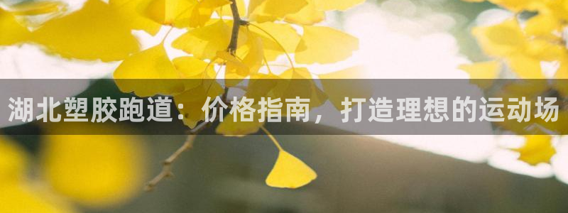 尊龙凯时官网：湖北塑胶跑道：价格指南，打造理想的运动场