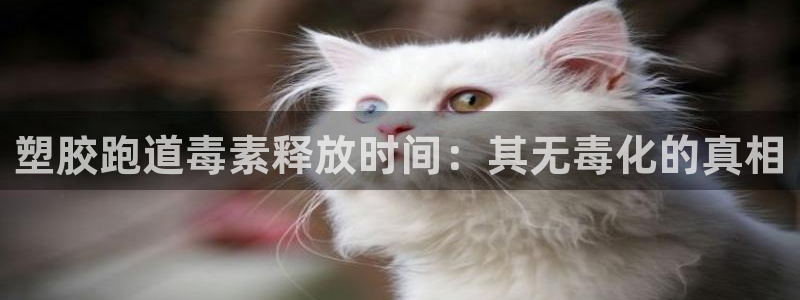 凯时官网：塑胶跑道毒素释放时间：其无毒化的真相