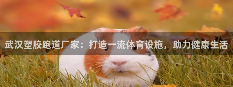 尊龙人生手机版：武汉塑胶跑道厂家：打造一流体育设施，