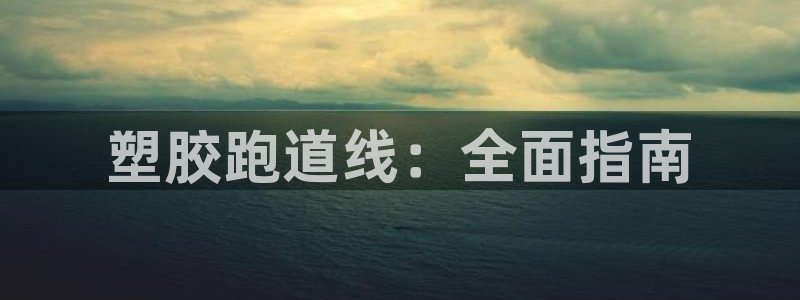 尊龙手机客户端下载：塑胶跑道线：全面指南