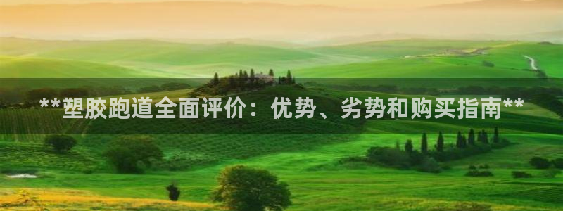 尊龙网址是多少：**塑胶跑道全面评价：优势、劣势和购买指南**