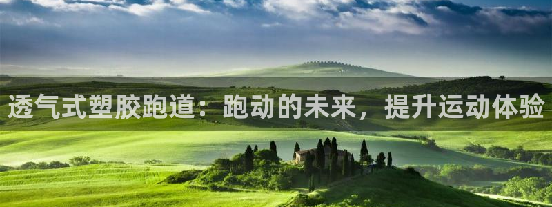 尊龙凯时d5138：透气式塑胶跑道：跑动的未来，提升运动体验