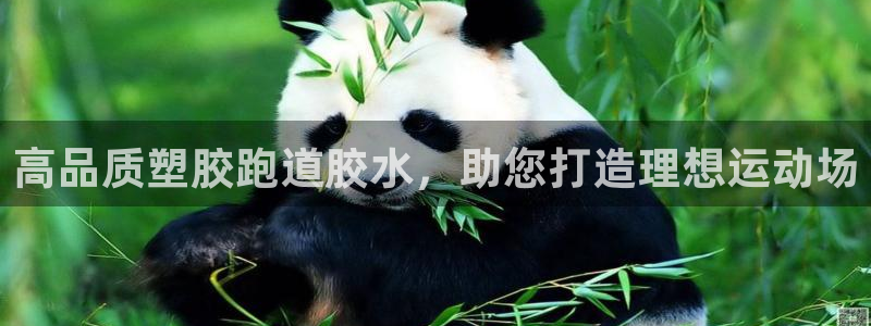 尊龙体育游戏平台：高品质塑胶跑道胶水，助您打造理想运动场