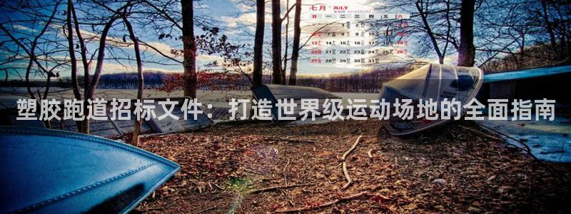 尊龙 10：塑胶跑道招标文件：打造世界级运动场地的全面指南