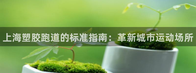 ZL尊龙凯时集团：上海塑胶跑道的标准指南：革新城市运动场所