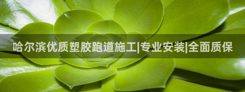 尊龙t500和t300区别：哈尔滨优质塑胶跑道施工|专业安装|全面质保