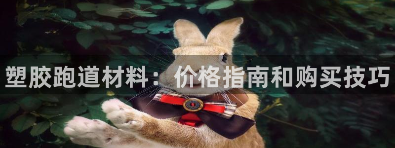 尊龙登录会员登录：塑胶跑道材料：价格指南和购买技巧