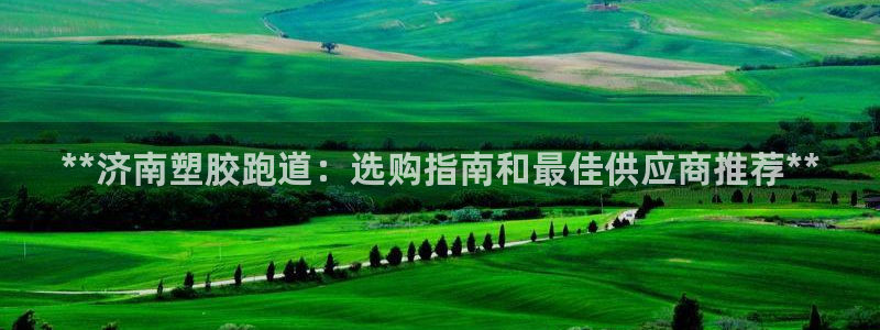 尊龙人生就是博首页：**济南塑胶跑道：选购指南和最佳供应商推荐**