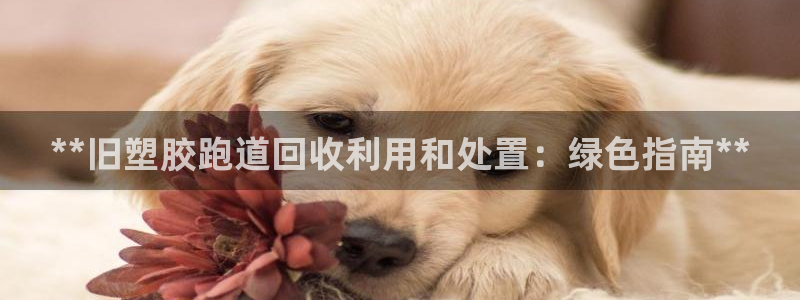 尊龙凯时ag旗舰厅官网客服：**旧塑胶跑道回收利用和处置：绿色指南**