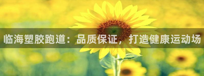 尊龙凯时电竞注册：临海塑胶跑道：品质保证，打造健康运