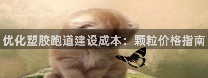 尊龙实业有限公司属于国企吗：优化塑胶跑道建设成本：颗粒价格指南