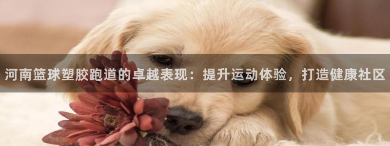 尊龙凯时网娱乐最新版下载：河南篮球塑胶跑道的卓越表现：提升运动体验，打造健康社区