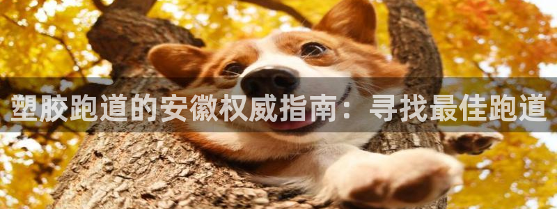 尊龙z6.con：塑胶跑道的安徽权威指南：寻找最佳跑道