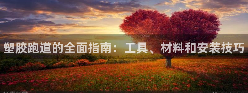 尊龙凯时白家乐：塑胶跑道的全面指南：工具、材料和安装技巧