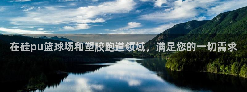 尊龙凯时网娱乐最新版：在硅pu篮球场和塑胶跑道领域，满足您的一切需求