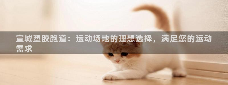 凯时k66娱乐登录：宣城塑胶跑道：运动场地的理想选择，满足您的运动
需求