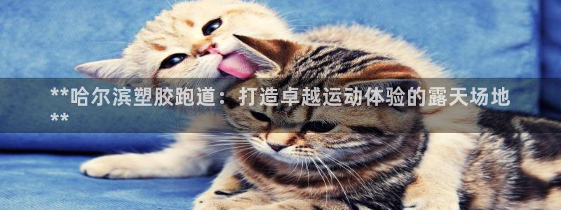 尊龙凯时人生就是博·(中国)官网官：**哈尔滨塑胶跑