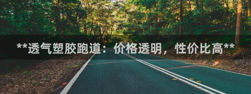尊龙官方网站首页：**透气塑胶跑道：价格透明，性价比高**