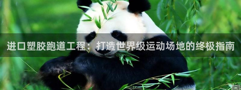 尊龙 5：进口塑胶跑道工程：打造世界级运动场地的终极指南