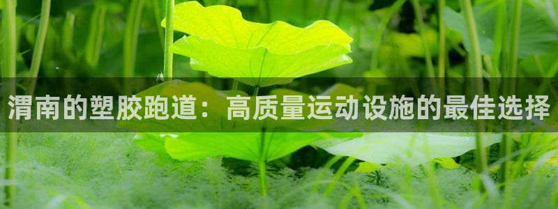 尊龙凯时官方下载：渭南的塑胶跑道：高质量运动设施的最佳选择