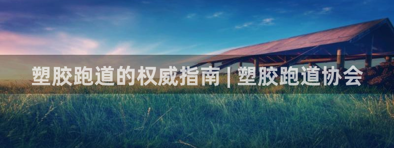 z6com尊龙：塑胶跑道的权威指南 | 塑胶跑道协会