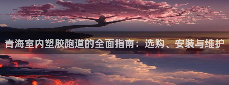 尊龙官网注册：青海室内塑胶跑道的全面指南：选购、安装
