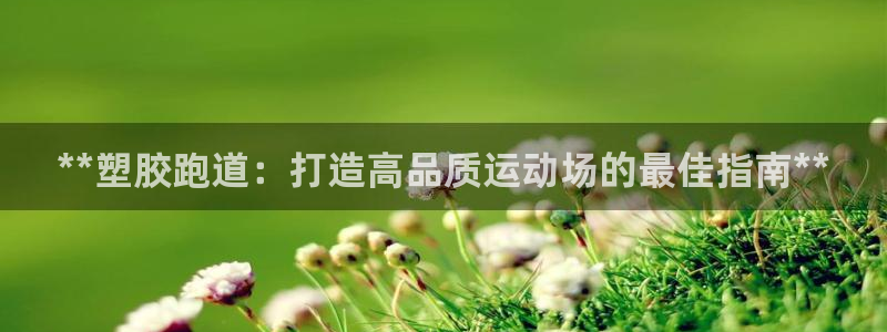 尊龙凯时官网网页版：**塑胶跑道：打造高品质运动场的最佳指南**