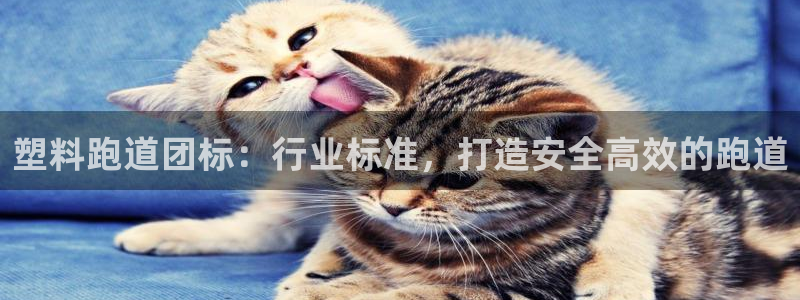 尊龙凯时 人生就是搏：塑料跑道团标：行业标准，打造安