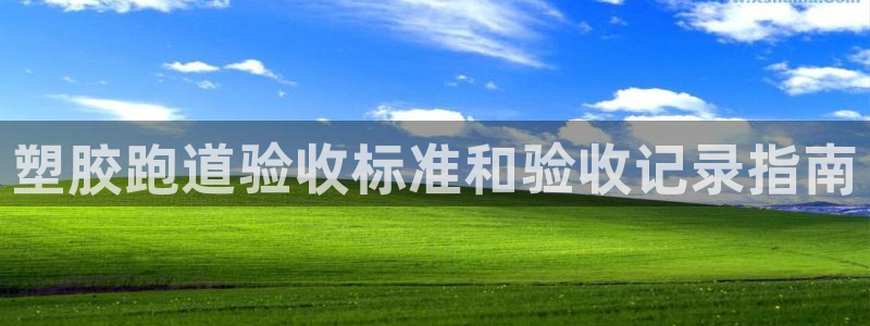尊龙凯时 - 人生就是搏手机登录：塑胶跑道验收标准和验收记录指南