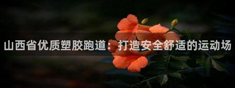 尊龙网平台：山西省优质塑胶跑道：打造安全舒适的运动场