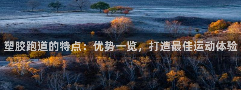 尊龙凯时和九游会哪个平台好一点：塑胶跑道的特点：优势