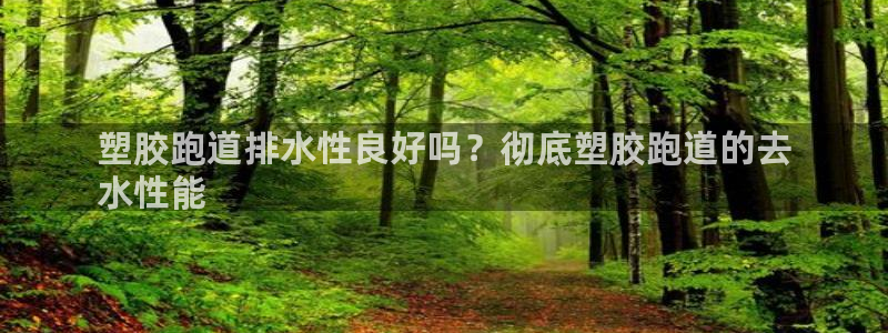 尊龙旗舰店：塑胶跑道排水性良好吗？彻底塑胶跑道的去
水性能