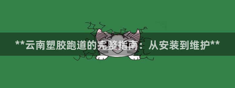 尊龙人生就要博旧版：**云南塑胶跑道的完整指南：从安装到维护**