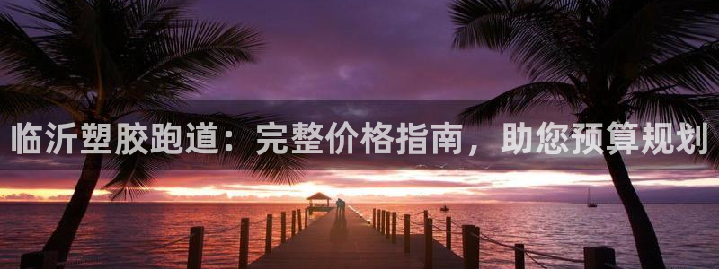 尊龙凯时登陆网址：临沂塑胶跑道：完整价格指南，助您预算规划