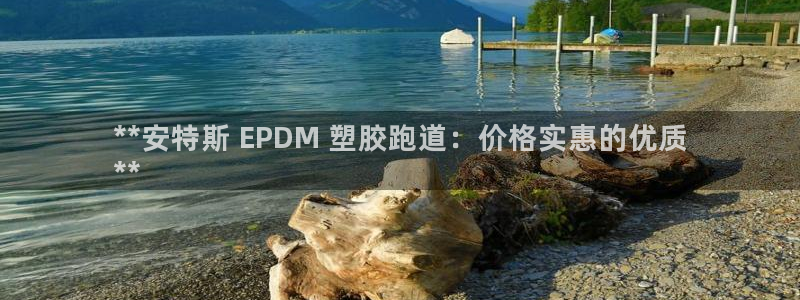 尊龙凯时人生就是博中国官网：**安特斯 EPDM 塑