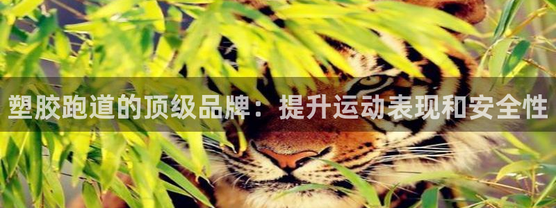 尊龙网站手机下载：塑胶跑道的顶级品牌：提升运动表现和安全性