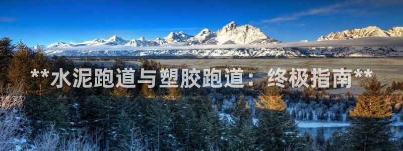 **水泥跑道与塑胶跑道：终极指南**