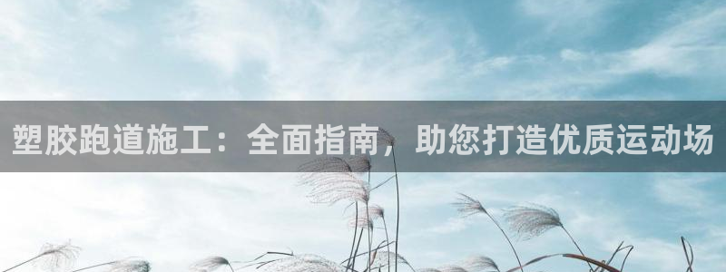 尊龙凯时v7要冲多少：塑胶跑道施工：全面指南，助您打造优质运动场