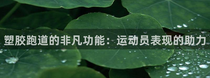 尊龙多少岁：塑胶跑道的非凡功能：运动员表现的助力