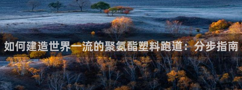 尊龙凯时麻将胡了：如何建造世界一流的聚氨酯塑料跑道：分步指南