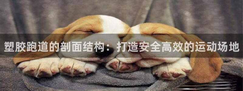 尊龙app登录不了：塑胶跑道的剖面结构：打造安全高效的运动场地