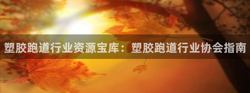 尊龙网站登录：塑胶跑道行业资源宝库：塑胶跑道行业协会